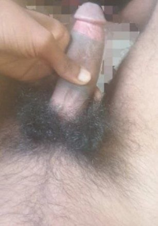 Indiantiger